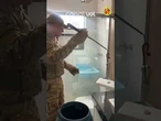 Jararaca peçonhenta é encontrada dentro de vaso sanitário no Distrito Federal; vídeo