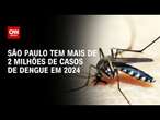 São Paulo tem mais de 2 milhões de casos de dengue em 2024 | LIVE CNN