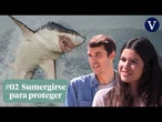 ¿Por qué debería darte más miedo un océano SIN tiburones que uno lleno de ellos?