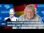 LANDTAGSWAHL SACHSEN-ANHALT: Alice Weidel verkündet bereits ersten AfD-Ministerpräsidenten!