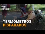 Las ALTAS TEMPERATURAS SIGUEN SUBIENDO en el NORTE de ESPAÑA y TIENEN CONSECUENCIAS | RTVE Noticias