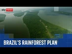 Brazil 'surprised' UK not investing in new rainforest fund it helped design