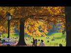 Autumn is here! We explain the science behind the changing seasons | Nightly News: Kids Edition