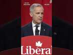 Mark Carney wins Liberal Party election to become Canada's next prime minister