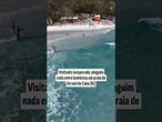 Aparição de pinguim encanta moradores e turistas no litoral do Rio de Janeiro