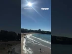 Shark alarm blares across Australia beach after woman is attacked #shorts #foxnews #news #fox