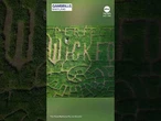 Maryland corn maze pays tribute to 'Wicked'
