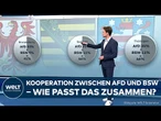 KOALITION DER EXTREME? In Ostdeutschland kämen AfD und BSW einer Mehrheit gefährlich nahe