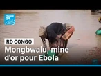 RD Congo : Ebola gagne du terrain dans les mines d’or de Mongbwalu • FRANCE 24