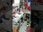 In Thailandia un elefante affamato entra in un mini-market e rimane incastrato