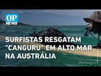 Surfistas resgatam "canguru" em alto mar na costa da Austrália | O POVO NEWS