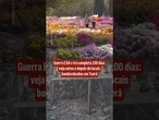 Antes e depois revela danos em marcos de Teerã após bombardeios