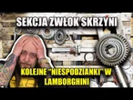 SEKCJA zwłok SKRZYNI Z Polskiego AGRO LAMBO #4