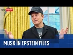 BREAKING: Elon Musk was invited to Epstein's island, according to new documents