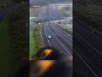 An angry-looking mynah bird photobombs surveillance cam on highway in New Zealand