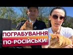 Викрала КОТА в сусідки і ХОТІЛА 30 тис! Росіянка ВИМАГАЛА викуп за ХАТНЮ ТВАРИНУ!