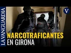 Un operativo de 600 mossos desarticula una banda de traficantes en 12 municipios de Girona