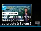 COP 30 : des arbres rasés pour une autoroute à Belem ? • FRANCE 24