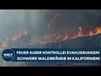 USA: Teile von Los Angeles evakuiert! Waldbrände in Kalifornien geraten weiter außer Kontrolle