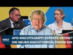 AFD-PARTEITAG: Alice Weidel triumphiert über Tino Chrupalla! Einfluss von Björn Höcke wächst