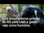 RG para cães e gatos: veja como funciona o programa do governo Lula que cria cadastro para animais