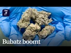 Markt für medizinisches Cannabis floriert