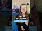 Was glaubst du – kommen deine Großeltern da drüber? #tagesschau #kino #kultur #schule #studium