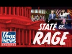‘Completely UNHINGED’: Democrats are in a ‘state of rage’ after Trump win