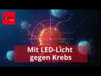 Neuer Therapieansatz: LED-Licht tötet 92 Prozent der Krebszellen in nur 30 Minuten