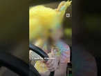 Si schianta alla guida mentre fa un video per TikTok: studentessa salva per miracolo