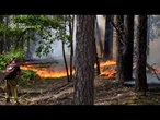 Ucraina: incendio nei boschi nella zona di Chernobyl, l'intervento dei Vigili del Fuoco