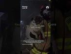 First responders rescue multiple pets from a fire in an Arizona mobile home