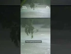 Deer swept away in floodwaters near San Antonio