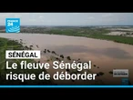 Le fleuve Sénégal risque de déborder, l'inquiétude des habitants de Matam • FRANCE 24