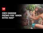 Cães ganham prêmio por “Ainda Estou Aqui” | LIVE CNN