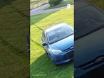 Amazon driver ruins freshly cut lawn to deliver package #delivery #garden #lawn