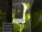 California man discovers camouflaged surveillance camera in front yard
