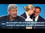 AFD-ABSTIMMUNG: Ein Störfeuer der Vertrauensfrage und der Neuwahlen? Experte skizziert Szenario