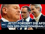 BUNDESTAGSWAHL: AfD fordert SPD-Fraktionssaal! Streit um Fraktionsräume und Ausschüsse im Bundestag!