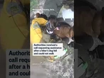 Dog airlifted after getting injured during hike in Arizona canyon