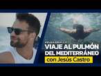 Viaje de película con Jesús Castro a la posidonia, un ecosistema marino único en el mundo