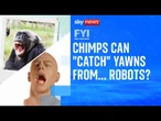 What do animals and humans have in common?