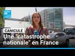 France : la canicule, une "catastrophe nationale" • FRANCE 24