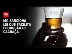 Lei para facilitar a produção de cachaça em MG é sancionada no estado | AGORA CNN