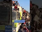 Desperate Palestinians climb moving aid trucks in chaotic scramble for food and supplies
