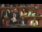Boccia a Meloni: "Subalternità a Trump ci condanna a irrilevanza"
