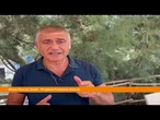 Pecoraro Scanio "Sicilia EcoDigital risposta a siccità, fare presto"
