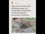 Spara ai suoi cani perché abbaiano troppo: denunciato un 64enne a Cremona