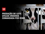 Conexão Agro: Produção de leite utiliza ordenha comandada por robô | LIVE CNN