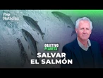 OBJETIVO PLANETA: SALVAR AL SALMÓN ATLÁNTICO | RTVE Noticias
